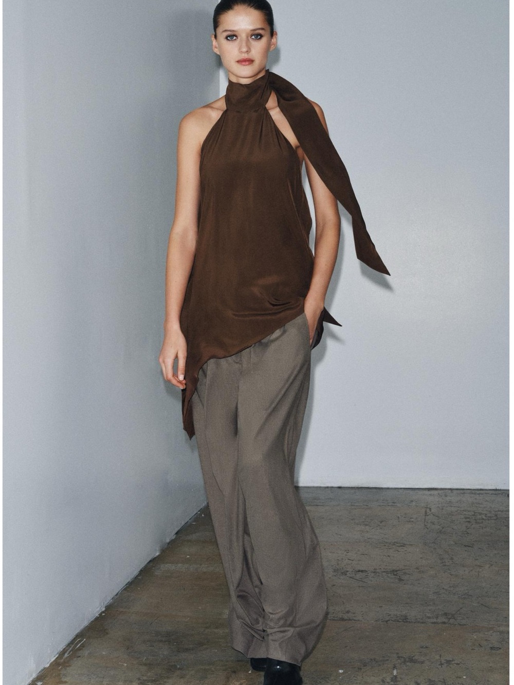 Zara ZW Collection Brown Vigore Wide Leg Pleated Pants NWT Mid Rise Size M